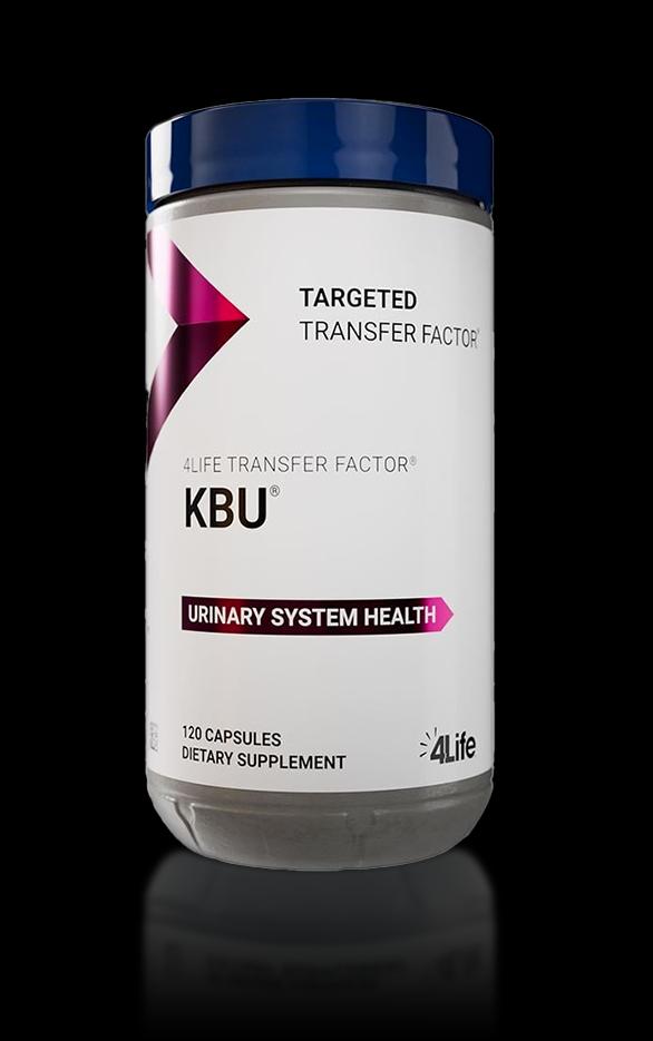 Adidas Sneakers Shoes